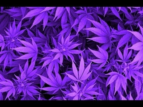Mesh m18 / ALLUME-LE (Marijuana riddim)