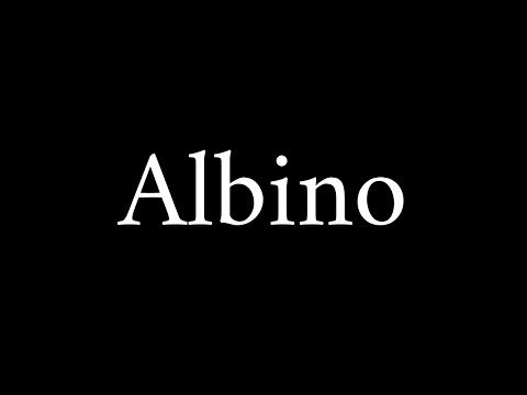 How to Pronounce Albino (Word)