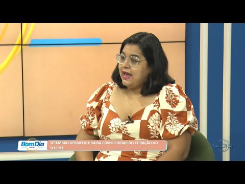 Setembro vermelho: Saiba como cuidar do coração do seu pet 19 09 2022