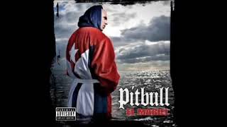 Pitbull Jealouso