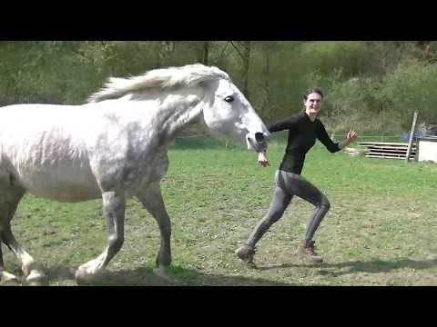 Sof 4/2018 (2), volnost bez ničeho