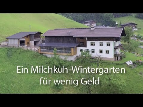 Milchkuh-Wintergarten für wenig Geld