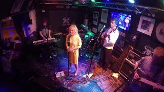 Totally Blondie perform Shayla / Union City Blue Live at The Horns