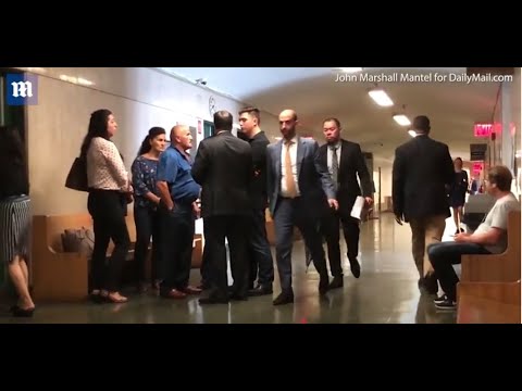 Legal Analysis with Todd