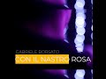 Con Il Nastro Rosa OFFICAIL VIDEOCLIP GabrieleBorsato