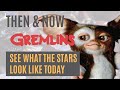 Don T Watch GREMLINS 1984 Until You See This What Do They Look Like In 2022