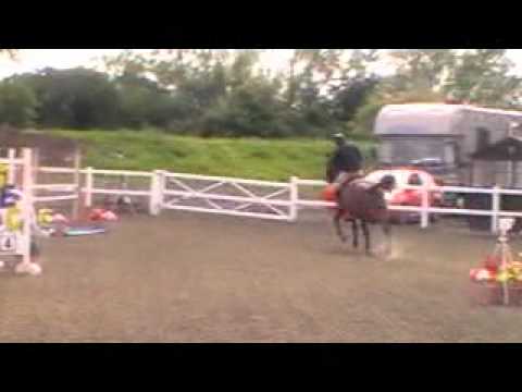 cindy van het berkenbos