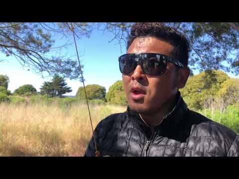 TenKun Rain song, charpa sip-sip