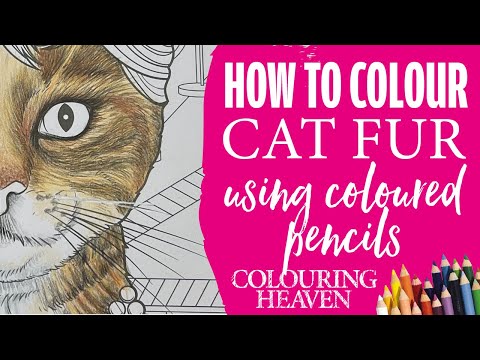 INCREDIBLY DETAILED | How to Colour Animal Fur | Pets Rock™ Colouring Tutorial