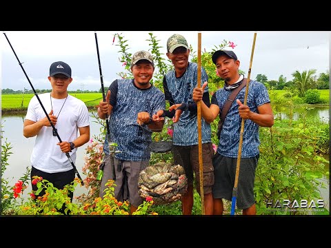 EP429-Part 1 - Masayang Pangangawil ng Tilapya | Occ. Mindoro