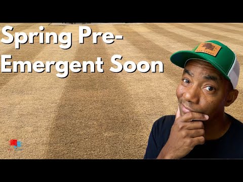 Get Ready for Spring Now - Golf Course Lawn - 290