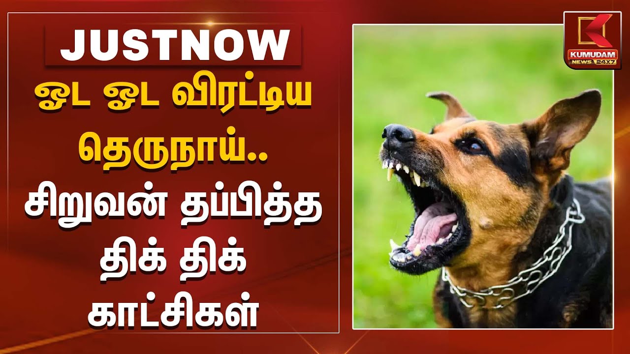 ஓட ஓட விரட்டிய தெருநாய்.. சிறுவன் தப்பித்த திக் திக் காட்சிகள் | Chennai | Dog Bite | Kumudam News