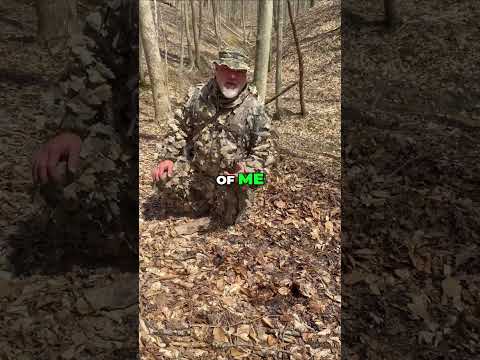 Find Turkeys Like a Pro! 🦃🌲