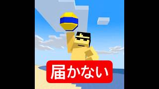 大忙しなビーチバレー #マイクラ #minecraft #ショートコント
