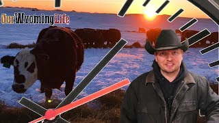 A Day in the Life - Wyoming Rancher &amp; Youtuber