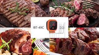 Teploměr na maso Inkbird IBT-4XC + 4 sondy, Bluetooth, voděodolný
