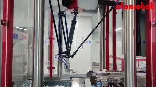 Automatic Pump Trigger Unscramble Solution before Capping by Delta Robot in Filling Industry