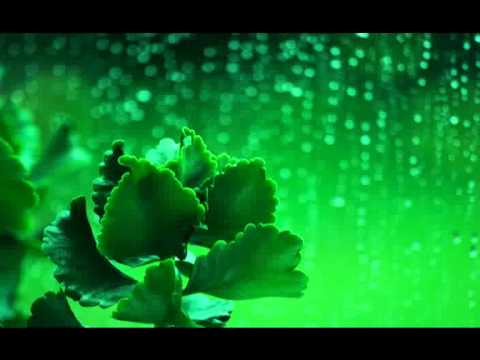 Ephemeral Mists - Invocation