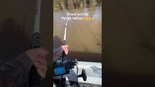 Download lagu Best looking catfish rod on the market!! mp3