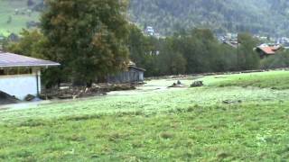 preview picture of video 'Hochwasser 2011.10.10 16:38:38 Frutigen'