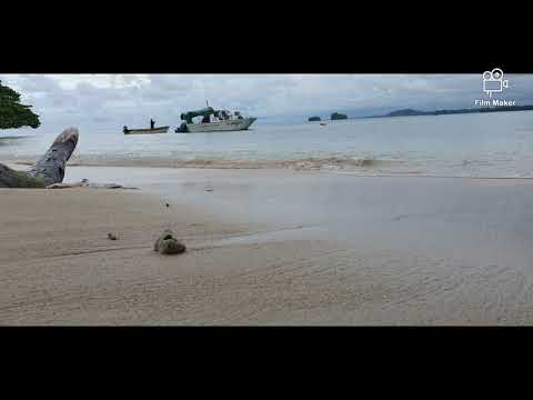 Daniel Bilip - Longwei Peren