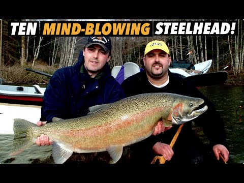 TOP 10 GIANT STEELHEAD will blow your mind!! 🤯