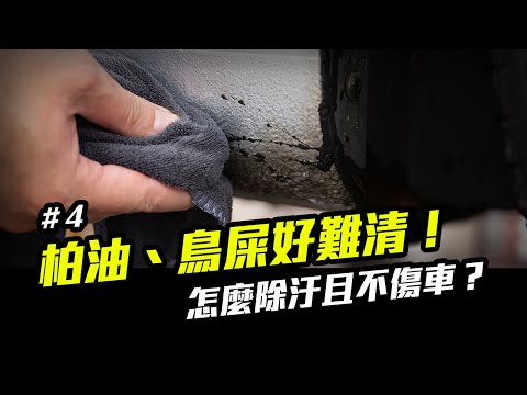 洗車步驟 4：柏油、鳥屎與蟲屍清除