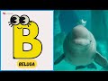 Dolphin ABC Phonics Song 26 Dolphins From Amazon To Ziphioid Abcd Kids