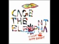 Cage the Elephant- Rubber Ball (Lyrics) 