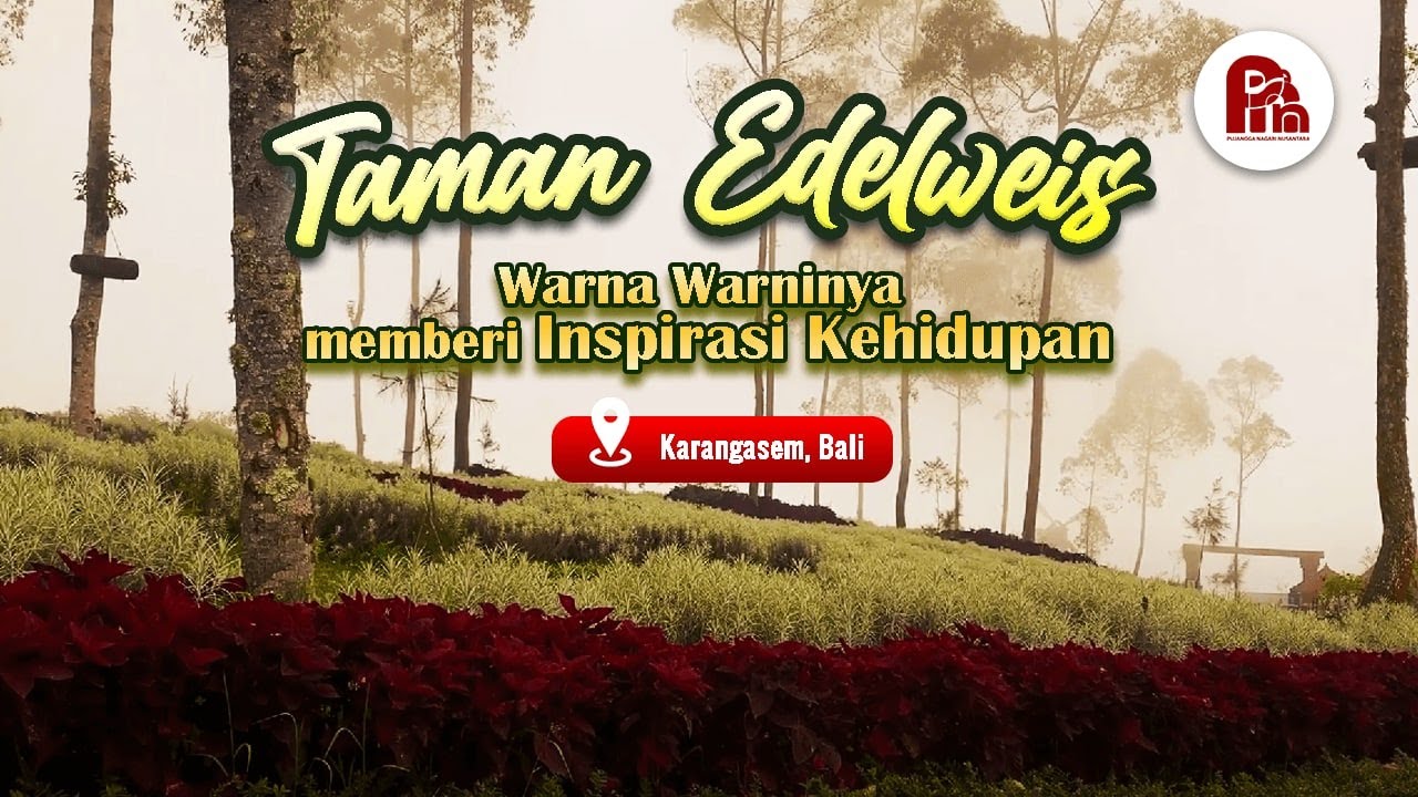 Edelweiss Garden, Its Colors Inspire Life