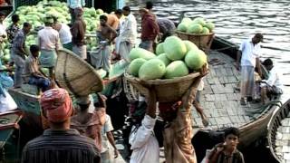Video DMA 2008: Bangladesh se adapta al cambio climático