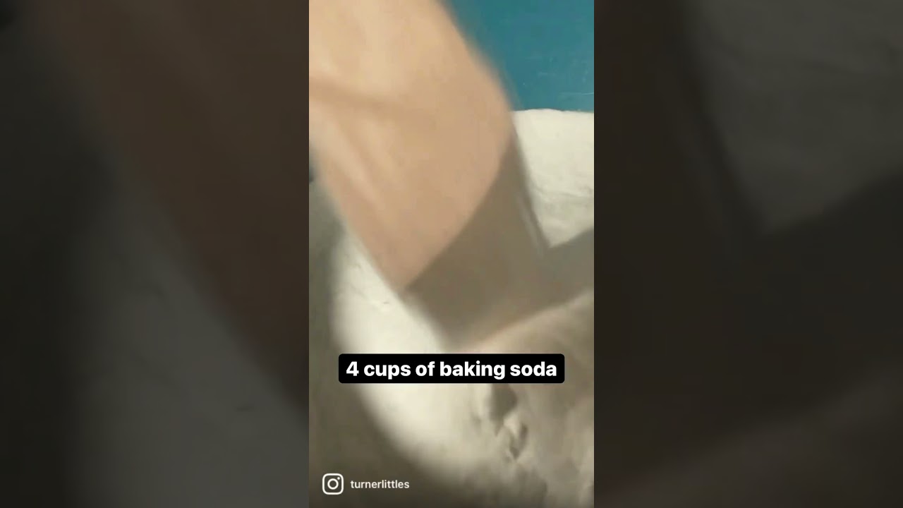 DIY Fizzy Pumpkins STEM Activity #shorts #stem #homeschooling