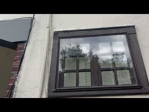 Lots of Yellow Jackets Harboring in Window Frame in Montgomery, NJ