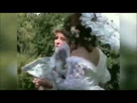 Sinn des Lebens - Reinkarnation - Wiedergeburt