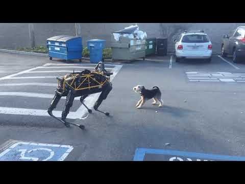 Kolipak Meeseva Youtube bhoomanna