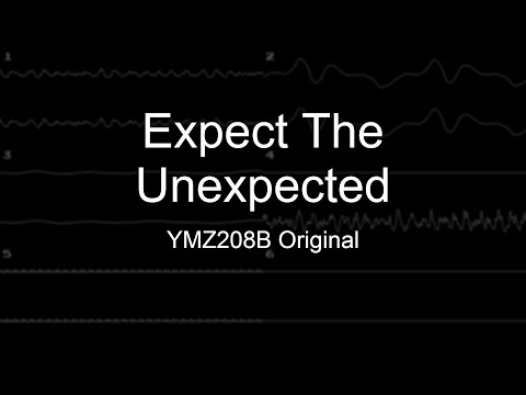 [Original] Expect The Unexpected (YMZ280B, PCMD8)