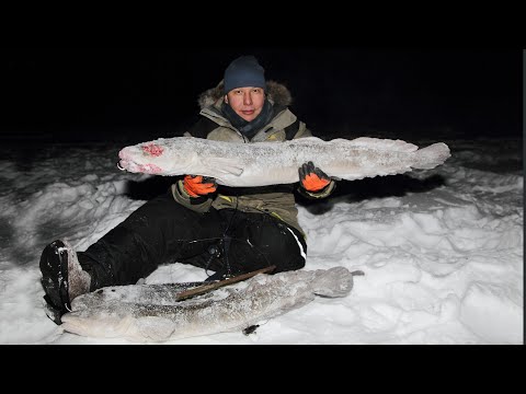 Ice Fishing For Burbot 2022 in Siberia