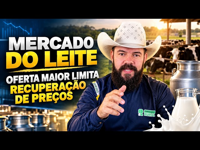 Mercado do leite - Oferta maior limita recuperação de preços