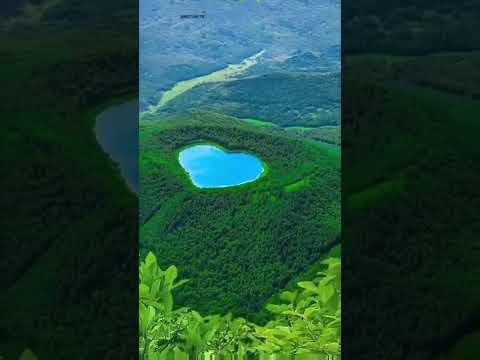 Nature short video #natural #shorts