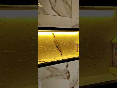 ITORORÓ BAHIA #viralvideos #motivacional #influenciadordigital #frases