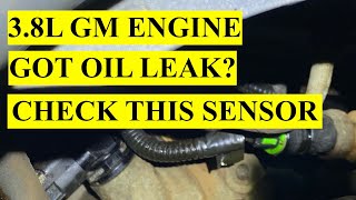 Got an Oil Leak in your 3.8L GM engine?- Chevrolet, Pontiac, Buick, Oldsmobile etc