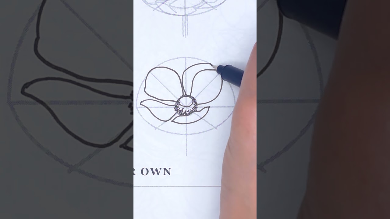Let's draw the anemone flower from a new perspective ✨🥰