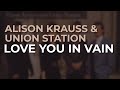 Alison Krauss & Union Station - Love You In Vain (Official Audio) - Alison Krauss Alison Krauss & Union Station - Love You In Vain (Official Audio)