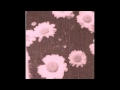 Auburn Lull - Static Partition