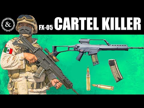 Why Mexico's Army Uses This Rifle Against Cartels
