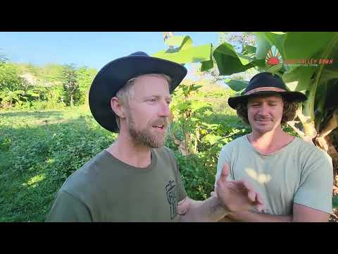 Grounded Gathering #10: Permaculture Action Party 2026 Launch