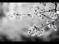 Moby - Love of Strings
