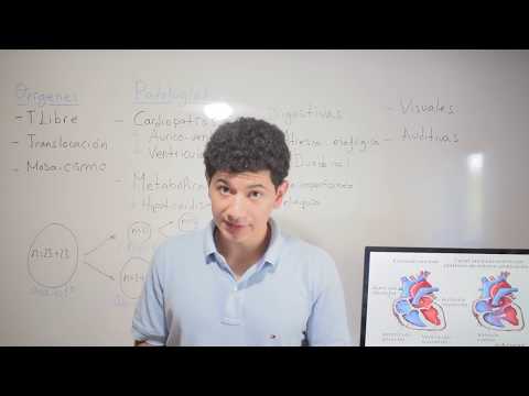 Watch video Síndrome de Down - Causas y Patologías