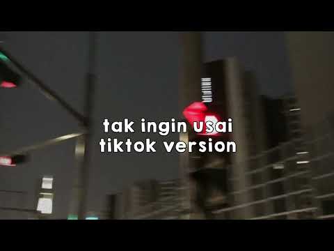 Tak ingin usai [tiktok version]
