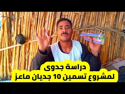 , title : '#دراسة جدوي لمشـروع تسميـن 10 جـديان #ماعـز / مع المـربي والمرشـد عمـرو'